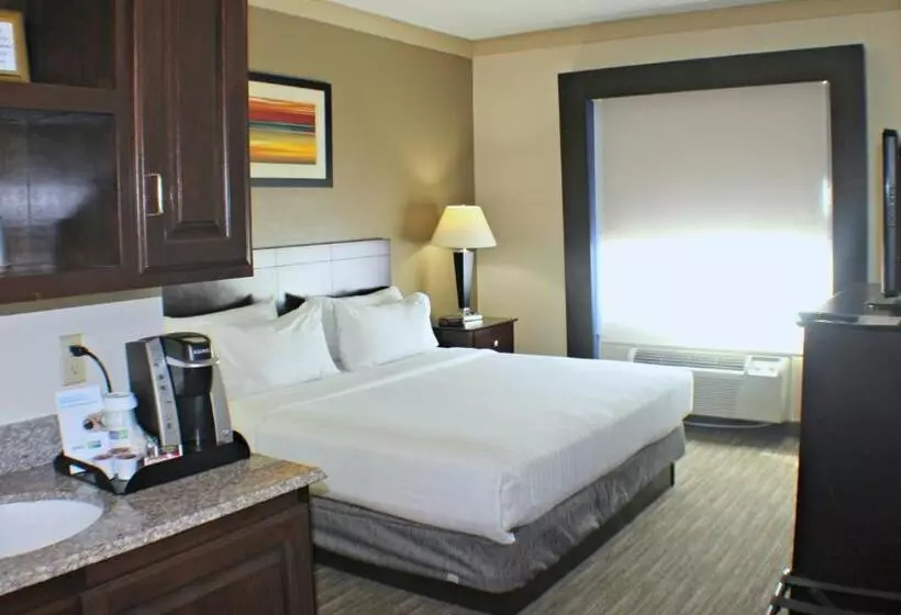 キングサイズベッドのスイートルーム, Holiday Inn Express Hotel & Suites Plainview, An Ihg