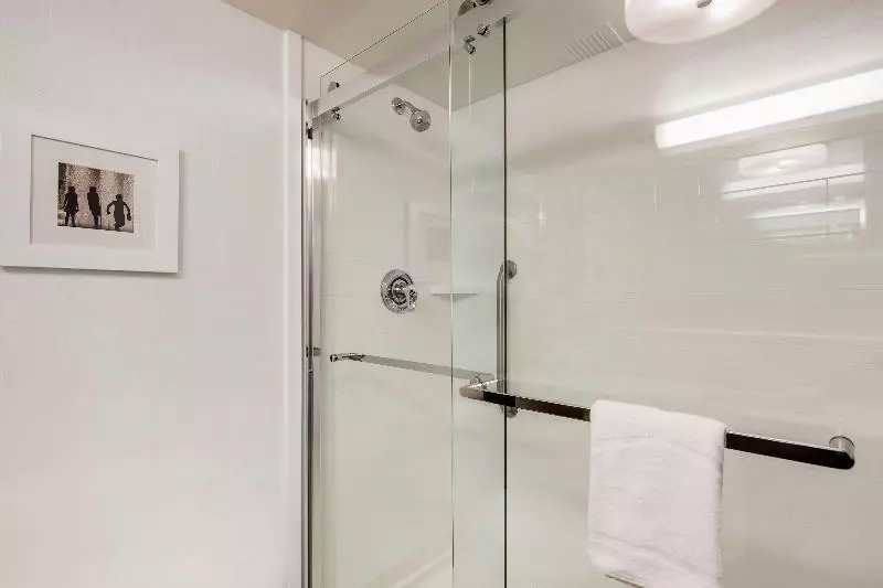 キングサイズベッドのスタンダードルーム, Holiday Inn Express Hotel & Suites Plainview, An Ihg