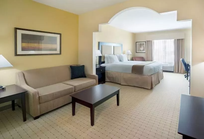 Sviitti Liikuntarajoitteisille, Holiday Inn Express Georgetown, An Ihg