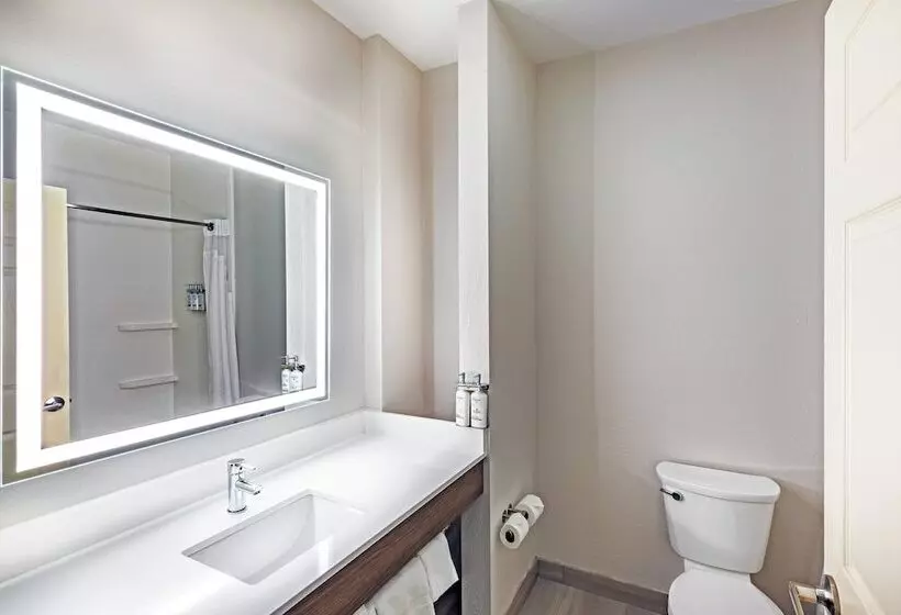 スイート, Holiday Inn Express Houston Space Center Clear Lake, An Ihg