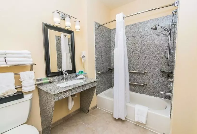身障者適用スイートルーム, Holiday Inn Express Houston Space Center Clear Lake, An Ihg