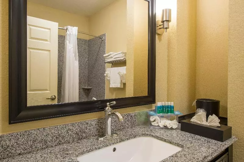 キングサイズベッドのスイートルーム, Holiday Inn Express Houston Space Center Clear Lake, An Ihg