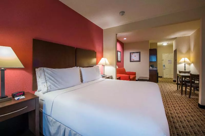 キングサイズベッドのスイートルーム, Holiday Inn Express Houston Space Center Clear Lake, An Ihg