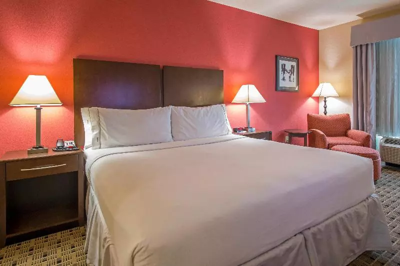 キングサイズベッドのスタンダードルーム, Holiday Inn Express Houston Space Center Clear Lake, An Ihg