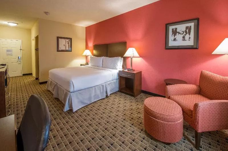 キングサイズベッドのスタンダードルーム, Holiday Inn Express Houston Space Center Clear Lake, An Ihg