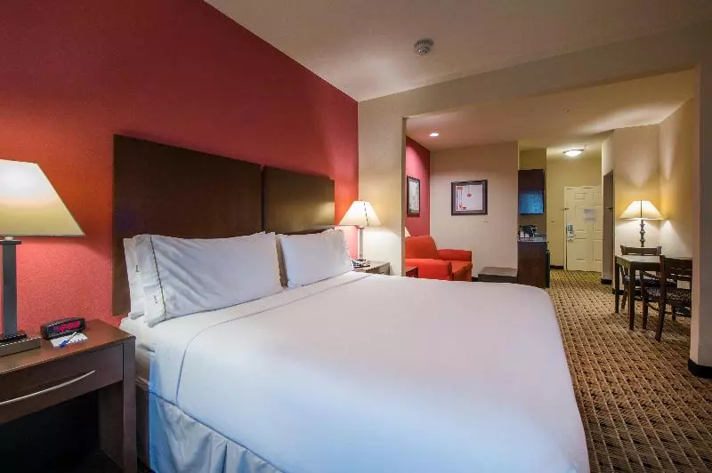 キングサイズベッドのスタンダードルーム, Holiday Inn Express Houston Space Center Clear Lake, An Ihg