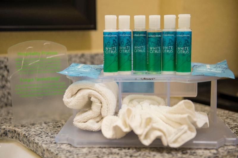 غرفة قياسية سرير كينج, Holiday Inn Express Houston Space Center Clear Lake, An Ihg