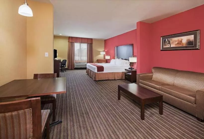 キングサイズベッドのスイートルーム, Holiday Inn Express & Suites Cleveland, An Ihg