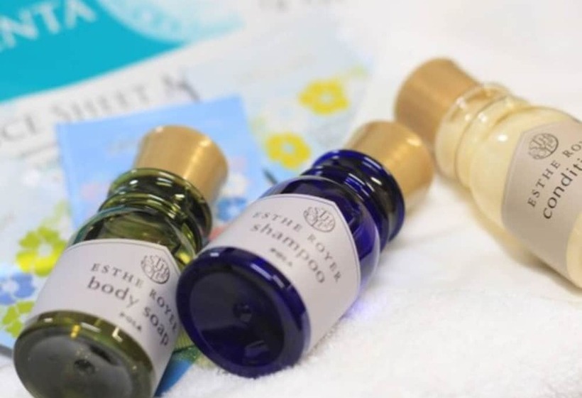 Номер Стандарт, Sapporo Garden Palace