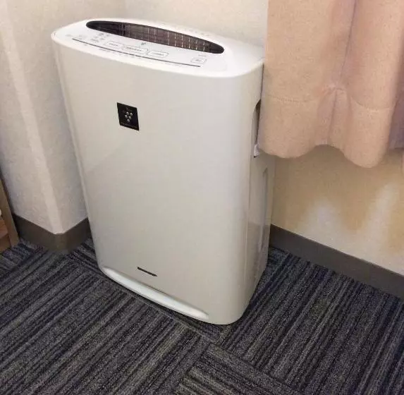اتاق اکونومی یک تخته, Shinosaka Sunny Stone