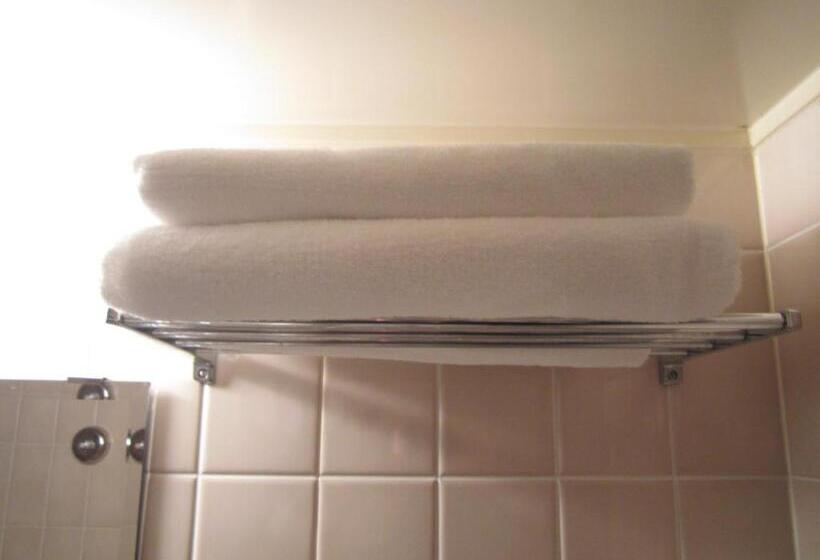 标准单人间, The B Hachioji