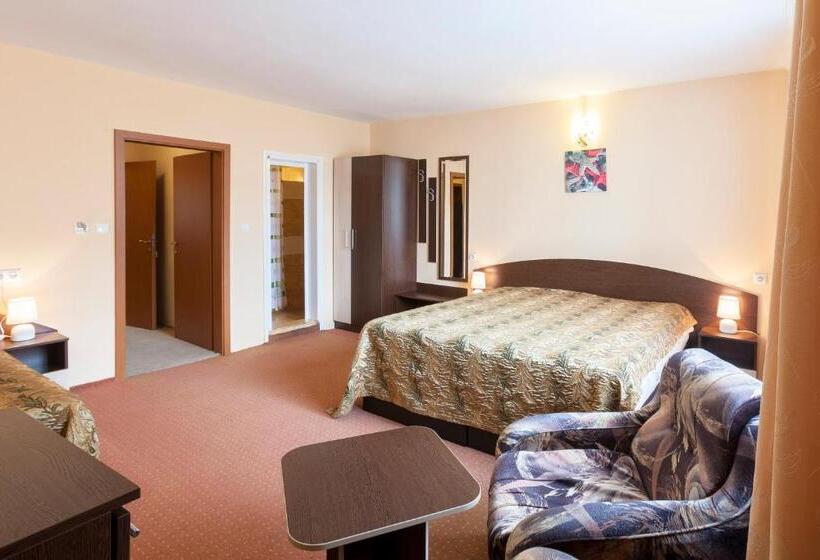 غرفة قياسية ثلاثية, Family Hotel Central