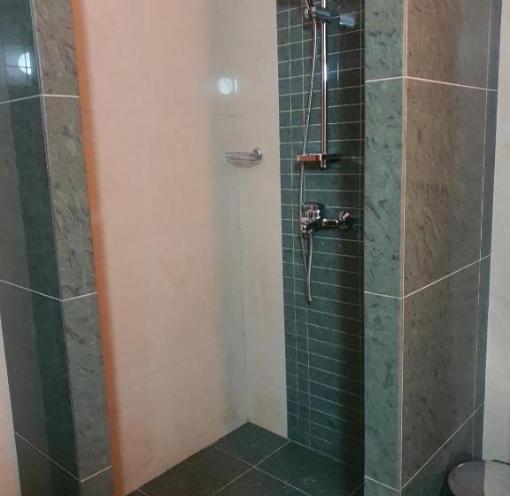 جناح مزوَّد بشرفة, Family Hotel Central