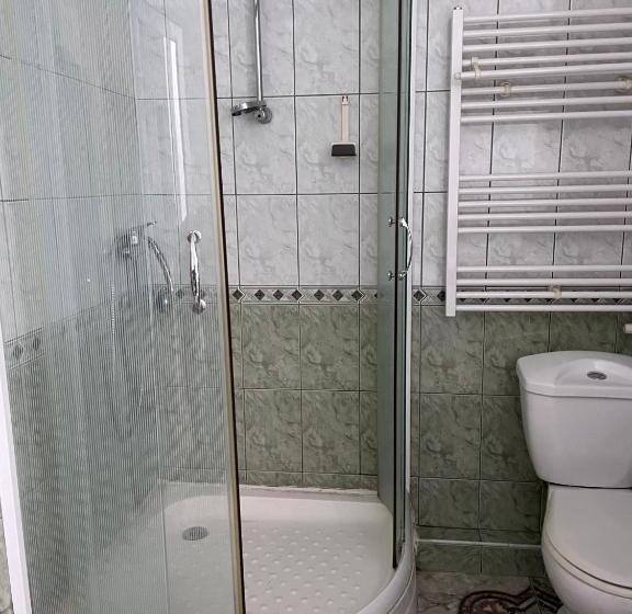 شقة غرفة نوم واحدة بالطابق الأرضى, Family Hotel Central