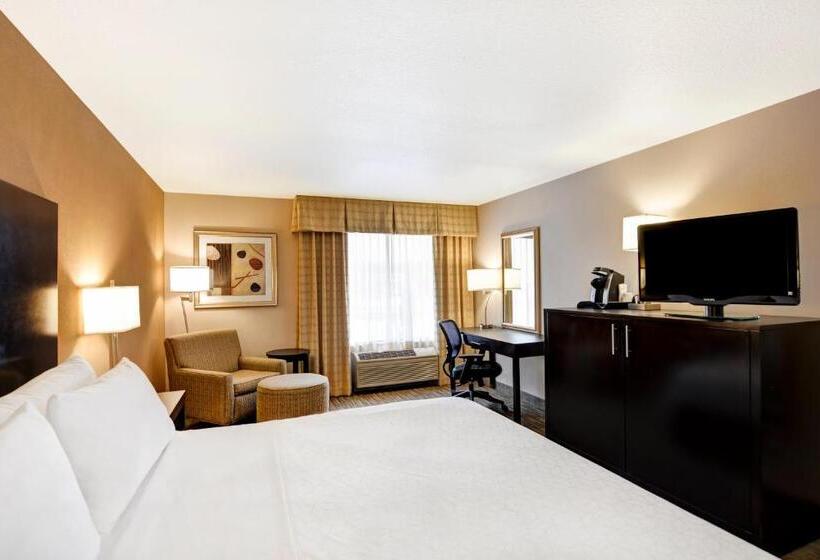 غرفة قياسية سرير كينج, Holiday Inn Express Hotel & Suites Milwaukee New Berlin, An Ihg