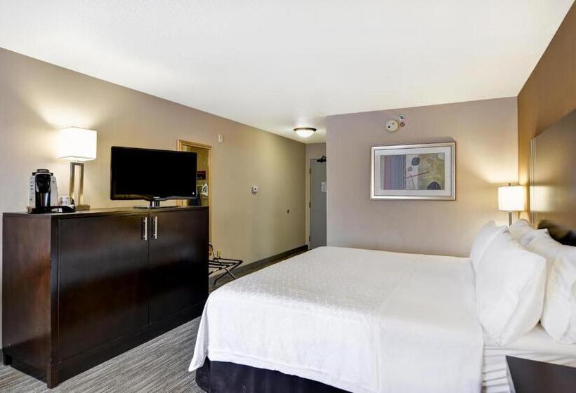 غرفة قياسية سرير كينج, Holiday Inn Express Hotel & Suites Milwaukee New Berlin, An Ihg