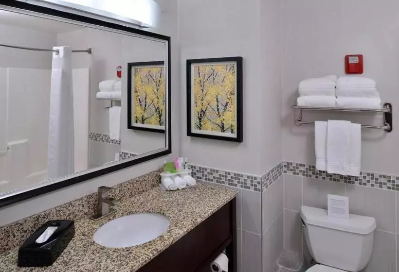 Sviitti King-vuode, Holiday Inn Express Hotel & Suites Milwaukee New Berlin, An Ihg