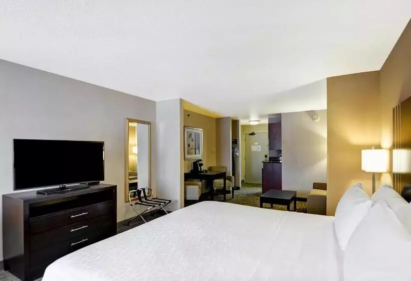 Sviitti King-vuode, Holiday Inn Express Hotel & Suites Milwaukee New Berlin, An Ihg