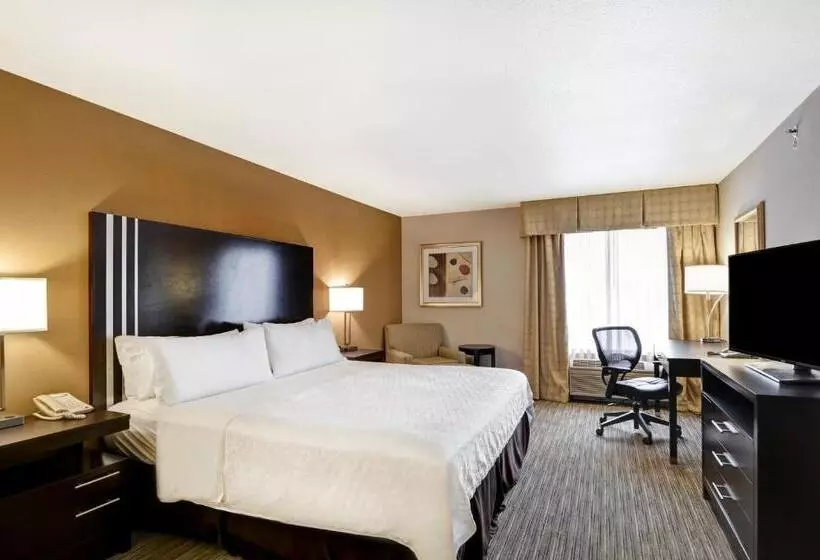 Sviitti King-vuode, Holiday Inn Express Hotel & Suites Milwaukee New Berlin, An Ihg