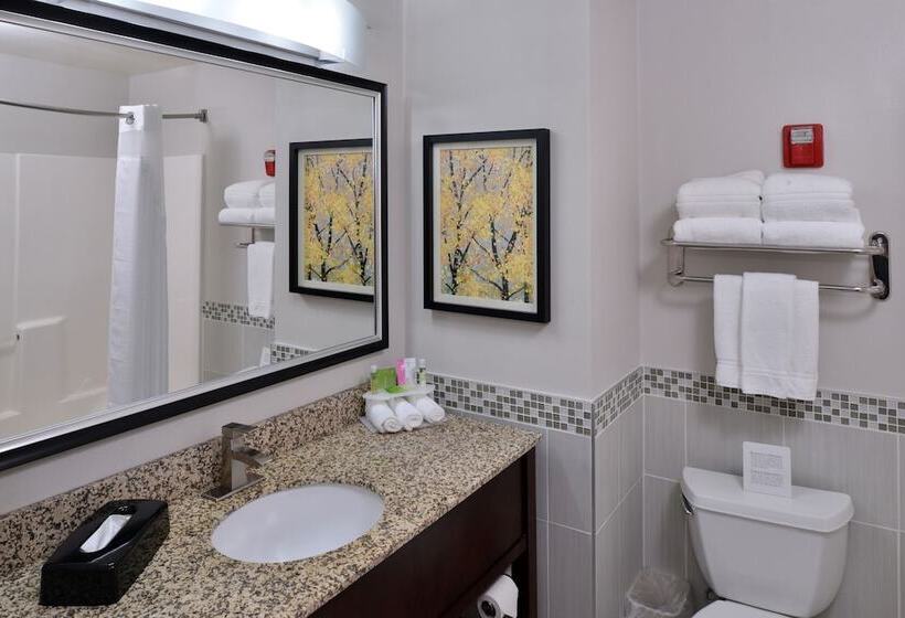 Люкс, Holiday Inn Express Hotel & Suites Milwaukee New Berlin, An Ihg