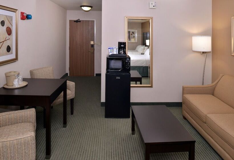 Люкс, Holiday Inn Express Hotel & Suites Milwaukee New Berlin, An Ihg