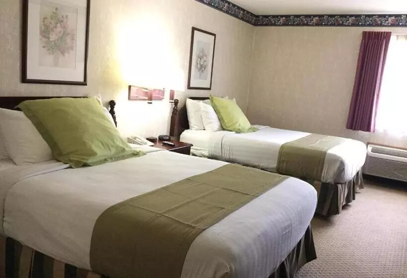スタンダードルーム, Americas Best Value Inn And Suites Saint Charles
