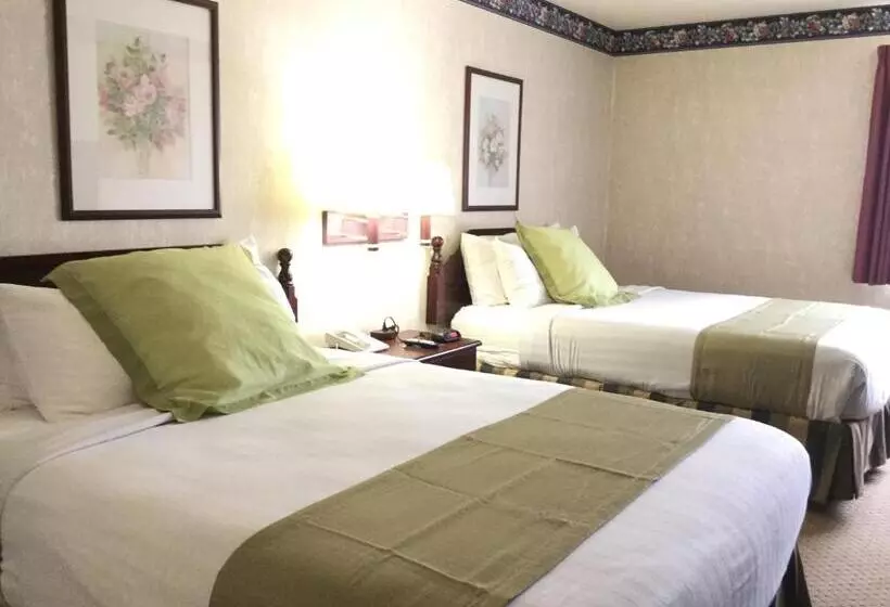 スタンダードルーム, Americas Best Value Inn And Suites Saint Charles