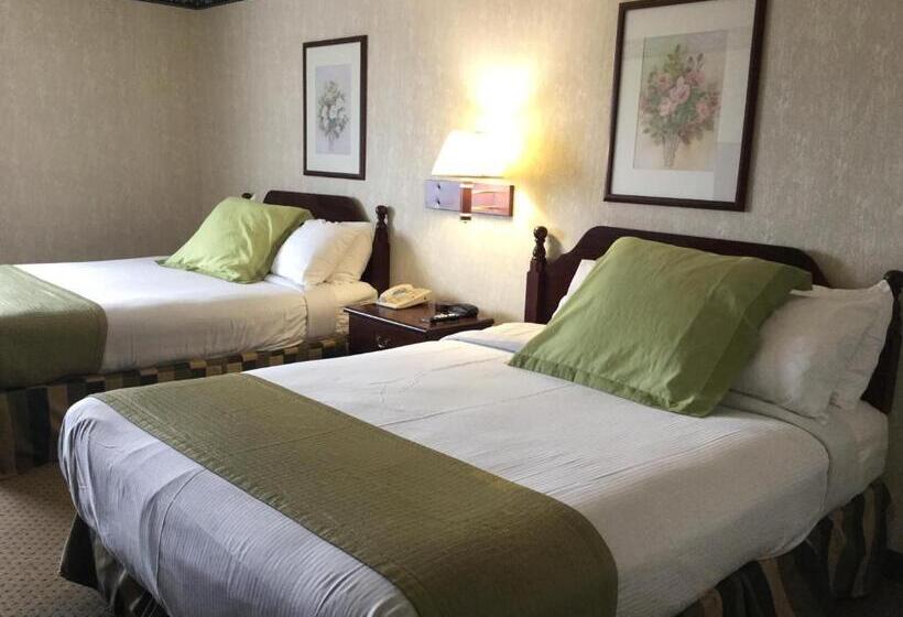 غرفة قياسية, Americas Best Value Inn And Suites Saint Charles