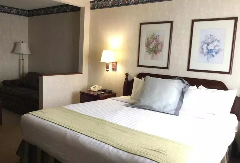 キングサイズベッドのデラックスルーム, Americas Best Value Inn And Suites Saint Charles