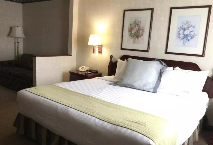 キングサイズベッドのデラックスルーム, Americas Best Value Inn And Suites Saint Charles