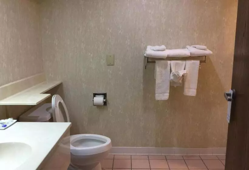 キングサイズベッドのデラックスルーム, Americas Best Value Inn And Suites Saint Charles