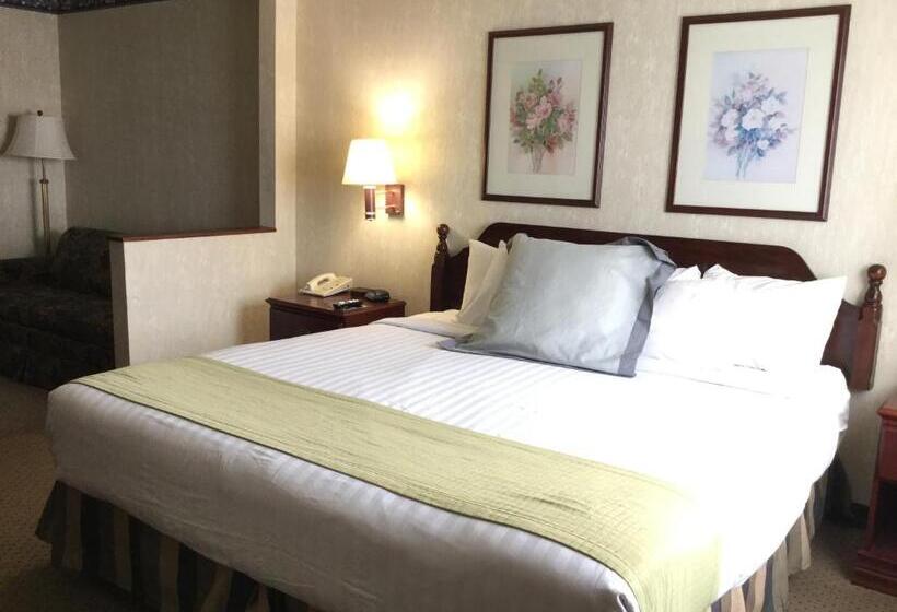 غرفة ديلوكس سرير كينج, Americas Best Value Inn And Suites Saint Charles