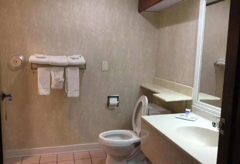 キングサイズベッドのスタンダードルーム, Americas Best Value Inn And Suites Saint Charles
