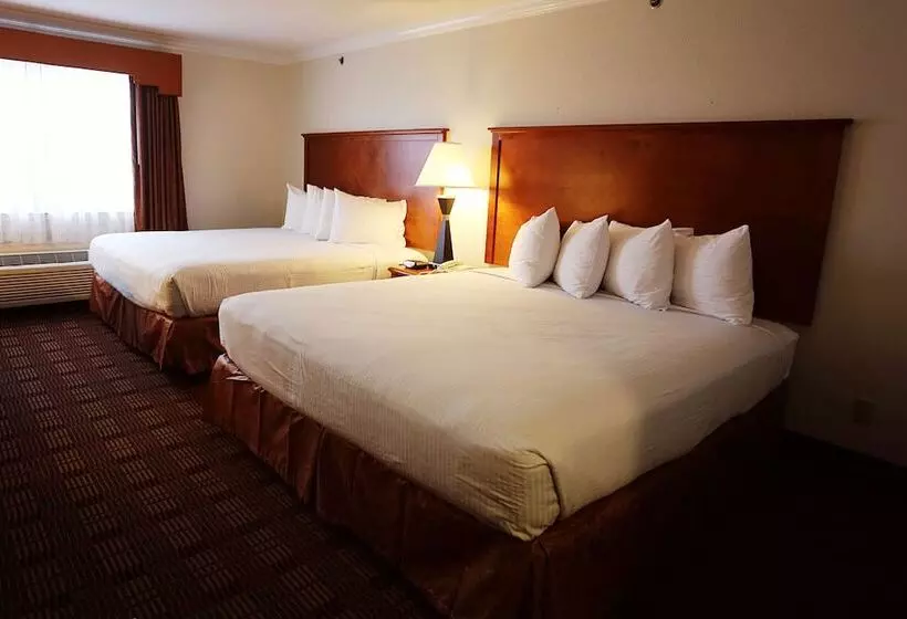 スタンダードルーム, Best Western Clubhouse Inn & Suites