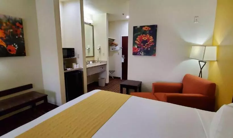 Standard-huone King-vuode, Best Western Executive Inn & Suites
