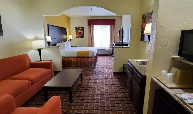 Sviitti King-vuode, Best Western Executive Inn & Suites