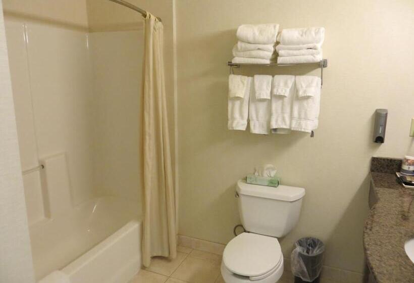 キングサイズベッドのスタンダードルーム, Best Western Plus Lake Elsinore Inn & Suites