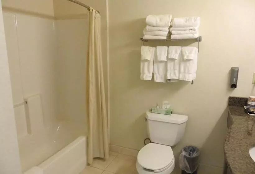 Standard-huone, Best Western Plus Lake Elsinore Inn & Suites