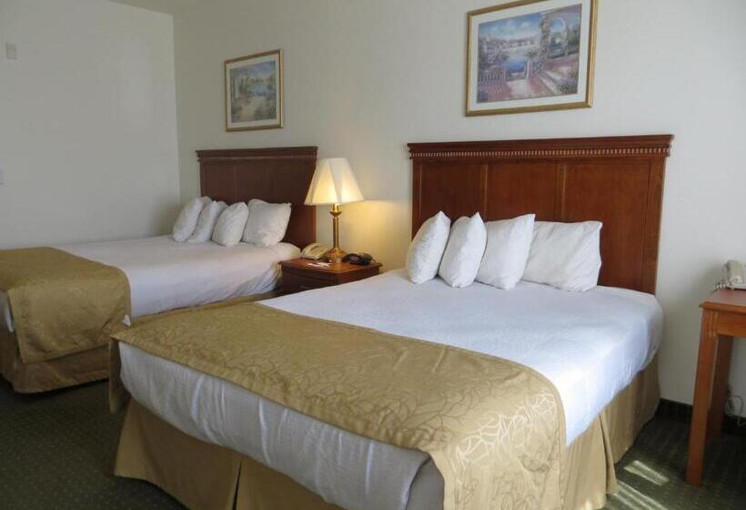 スタンダードルーム, Best Western Plus Lake Elsinore Inn & Suites