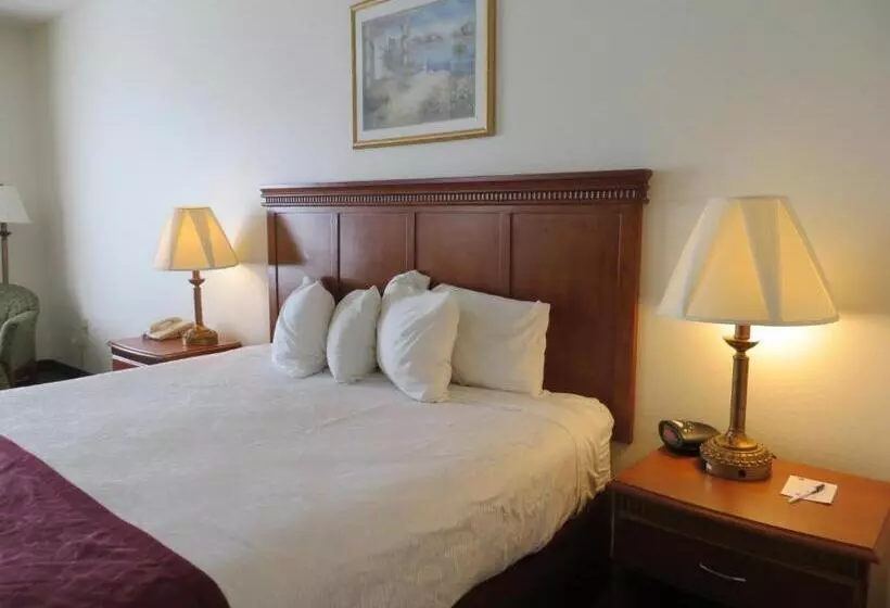 Sviitti King-vuode, Best Western Plus Lake Elsinore Inn & Suites