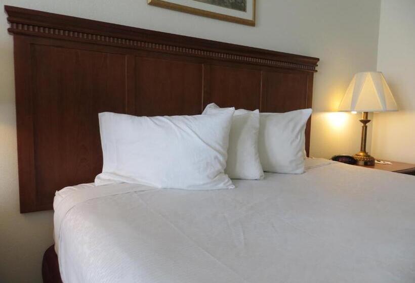 身障者適用スタンダードルーム, Best Western Plus Lake Elsinore Inn & Suites