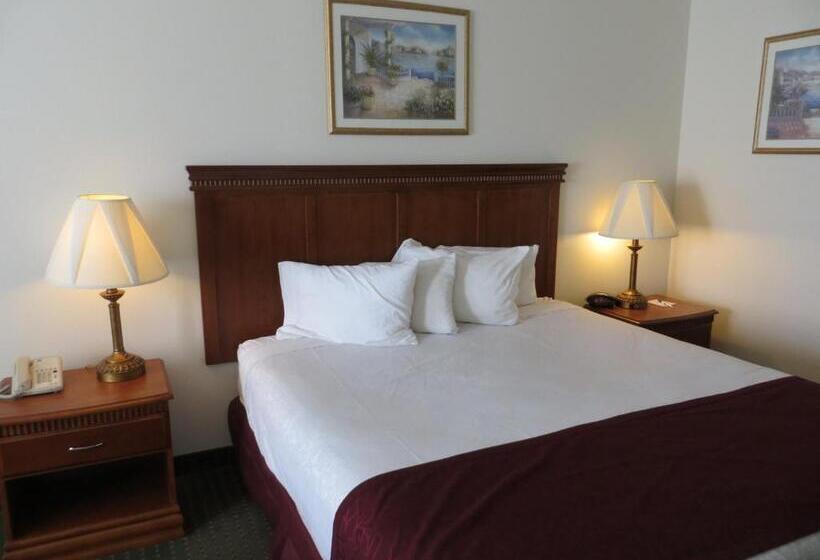 身障者適用スタンダードルーム, Best Western Plus Lake Elsinore Inn & Suites