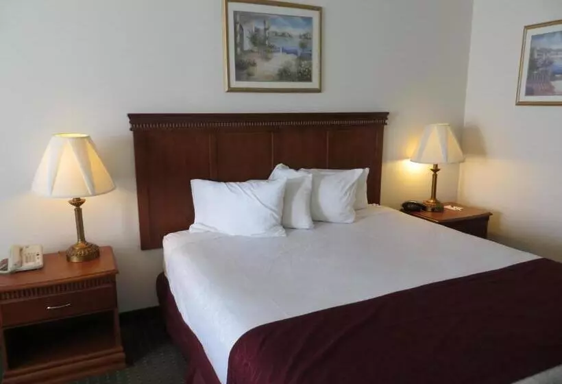 Standard-invahuone, Best Western Plus Lake Elsinore Inn & Suites