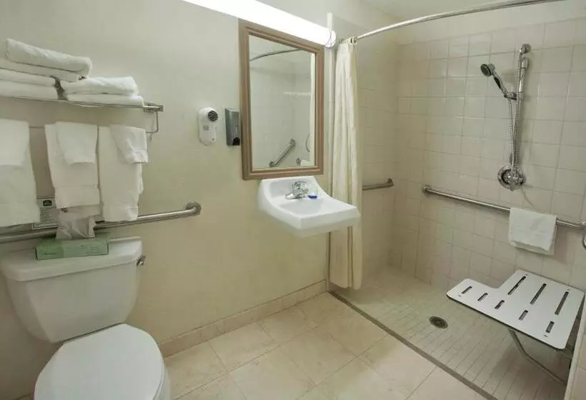Standard-invahuone, Best Western Plus Lake Elsinore Inn & Suites