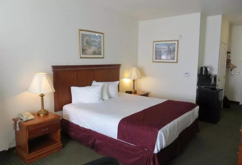 Standard-invahuone, Best Western Plus Lake Elsinore Inn & Suites