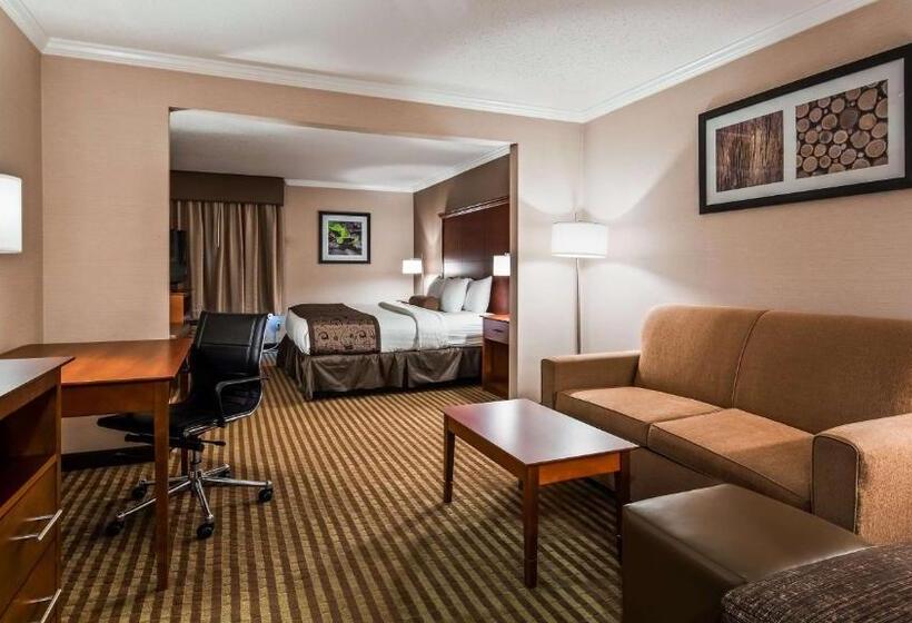 스위트 킹사이즈 침대, Best Western Liverpool Syracuse Inn & Suites