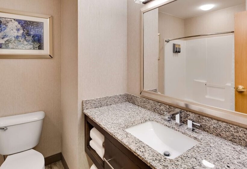 スイート, Best Western Plus River Escape Sylva / Dillsboro