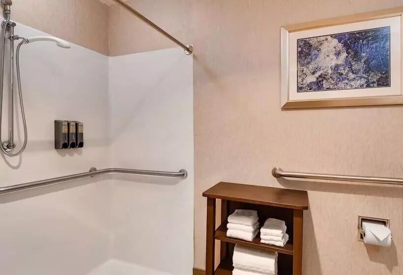 身障者適用スイートルーム, Best Western Plus River Escape Sylva / Dillsboro