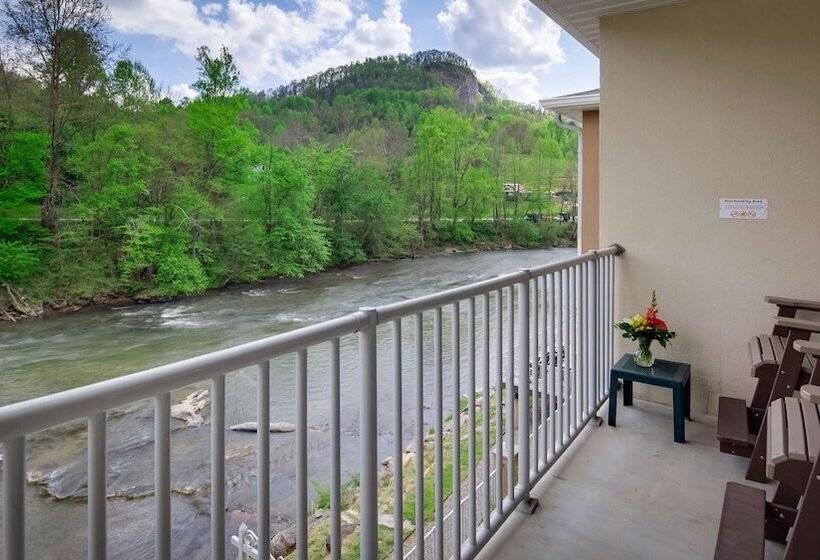 身障者適用スイートルーム, Best Western Plus River Escape Sylva / Dillsboro