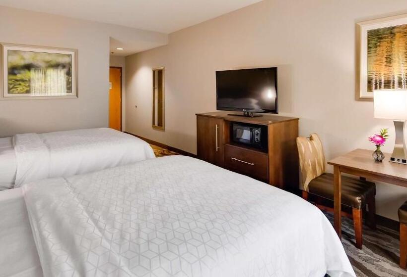 スタンダードルーム, Best Western Plus River Escape Sylva / Dillsboro